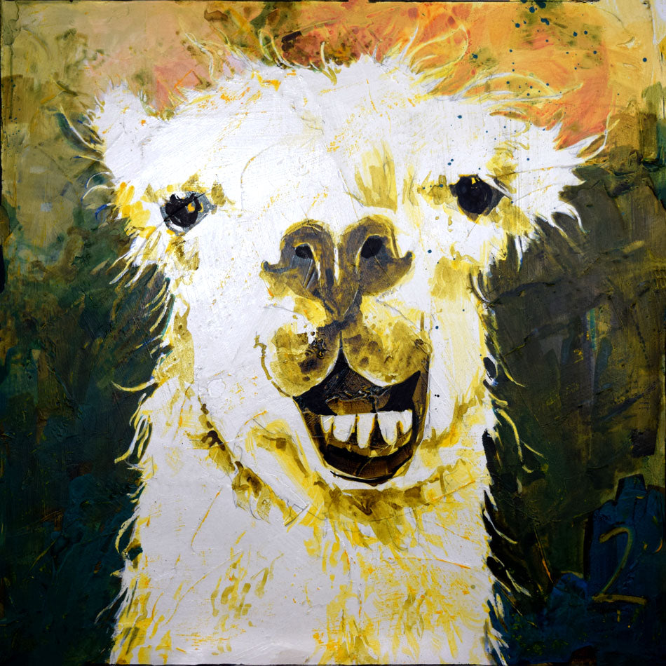 Llama